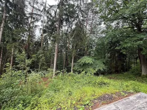 Prodej chaty, Zámostí-Blata, 50 m2