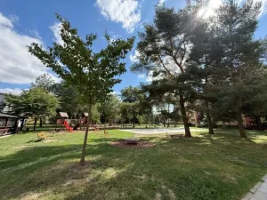 Pronájem bytu 2+1, Opava - Předměstí, Purkyňova, 55 m2