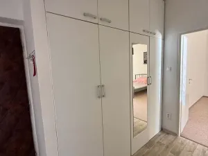 Pronájem bytu 2+1, Opava - Předměstí, Purkyňova, 55 m2