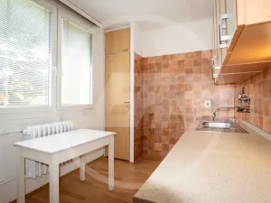 Pronájem bytu 1+1, Vlašim, Zámecká, 40 m2
