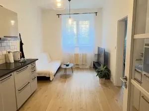 Prodej bytu 2+kk, Praha - Nusle, Pod vilami, 40 m2