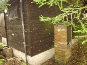 Dražba chaty, Mladošovice, 49 m2