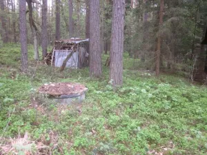 Dražba chaty, Mladošovice, 49 m2