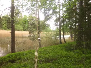 Dražba chaty, Mladošovice, 49 m2