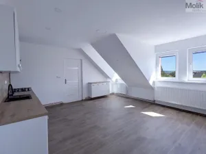 Pronájem rodinného domu, Dubí - Běhánky, Sportovní, 268 m2
