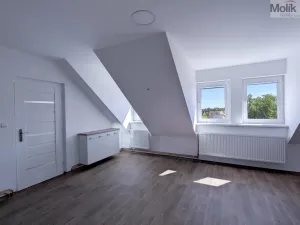 Pronájem rodinného domu, Dubí - Běhánky, Sportovní, 268 m2