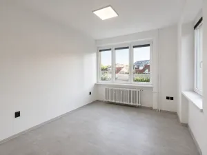 Pronájem bytu 3+kk, Prostějov, Palackého, 54 m2