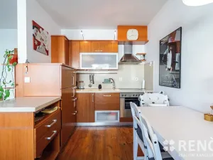 Prodej bytu 1+kk, Brno, Tomečkova, 46 m2
