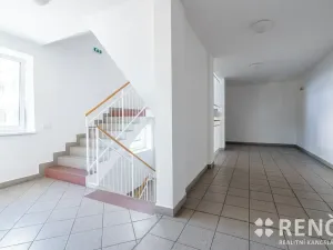 Prodej bytu 1+kk, Brno, Tomečkova, 46 m2