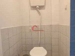 Pronájem bytu 2+1, Mikulčice - Těšice, 45 m2