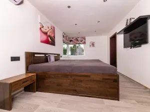 Prodej rodinného domu, Plzeň, Pod Radyní, 303 m2