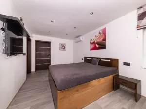 Prodej rodinného domu, Plzeň, Pod Radyní, 303 m2