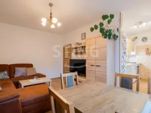 Prodej bytu 3+1, Hlučín, Tyršova, 62 m2