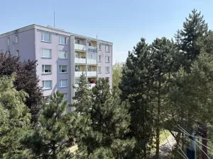 Pronájem bytu 3+1, Zábřeh, Severovýchod, 70 m2