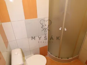 Pronájem bytu 1+kk, Český Krumlov - Nádražní Předměstí, Vyšehrad, 23 m2