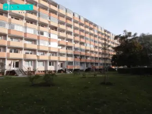 Pronájem bytu 1+1, Olomouc, Pavelčákova, 38 m2