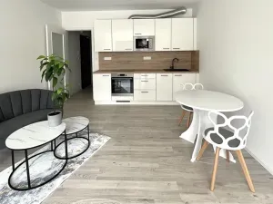 Pronájem bytu 1+kk, Brno, Střední, 45 m2