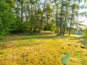 Prodej pozemku pro bydlení, Čkyně, 1083 m2