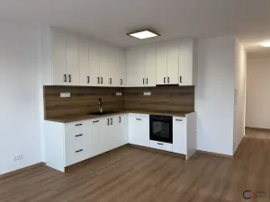 Pronájem bytu 3+kk, Dašice, U Kasáren, 69 m2