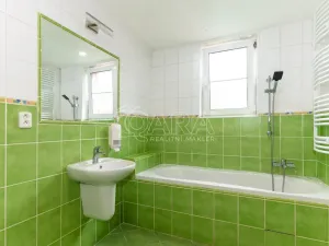 Prodej bytu 3+kk, Ústí nad Labem - Střekov, Purkyňova, 62 m2