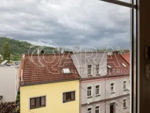 Prodej bytu 3+kk, Ústí nad Labem - Střekov, Purkyňova, 62 m2