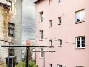 Prodej bytu 3+kk, Ústí nad Labem - Střekov, Purkyňova, 62 m2