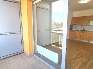 Prodej bytu 1+kk, Brno, Božetěchova, 21 m2