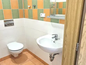 Prodej bytu 1+kk, Brno, Božetěchova, 21 m2