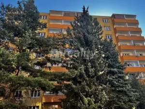 Prodej bytu 3+1, Jihlava, Kollárova, 56 m2