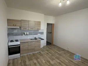 Pronájem bytu 1+kk, Plzeň - Lobzy, Těšínská, 20 m2