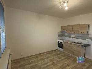 Pronájem bytu 1+kk, Plzeň - Lobzy, Těšínská, 20 m2