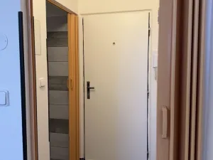 Pronájem bytu 1+kk, Plzeň - Lobzy, Těšínská, 20 m2