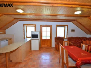 Prodej chaty, Borušov - Svojanov, 170 m2