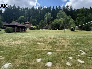 Prodej pozemku pro bydlení, Borušov, 1048 m2