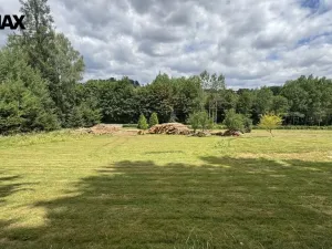 Prodej pozemku pro bydlení, Borušov, 1387 m2