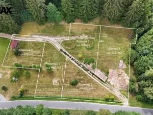 Prodej pozemku pro bydlení, Borušov, 960 m2