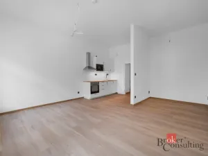 Pronájem bytu 1+kk, Brno - Zábrdovice, Bratislavská, 50 m2