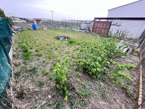 Prodej zahrady, Podivín, 396 m2