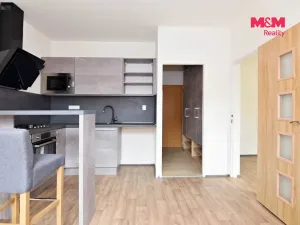 Pronájem bytu 1+1, Děčín - Děčín III-Staré Město, Rakovnická, 36 m2