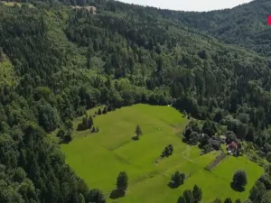 Prodej lesa, Nýdek, 207244 m2
