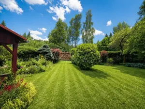 Prodej chalupy, Chřibská - Krásné Pole, 95 m2