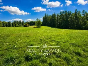Prodej ubytování, Vysoká - Pitárné, 322 m2