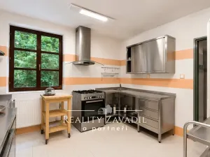 Prodej ubytování, Vysoká - Pitárné, 322 m2