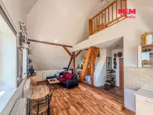 Prodej rodinného domu, Litoměřice - Předměstí, Na Vinici, 200 m2