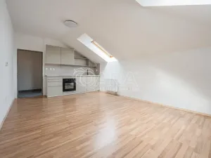 Prodej bytu 1+kk, Písek - Václavské Předměstí, Hostivítova, 30 m2