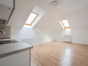 Prodej bytu 1+kk, Písek - Václavské Předměstí, Hostivítova, 30 m2