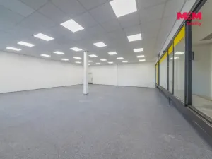 Pronájem obchodního prostoru, Havířov - Podlesí, Dlouhá třída, 500 m2