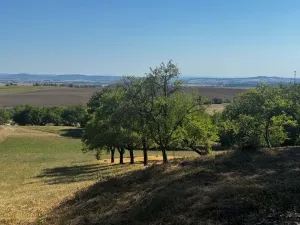 Prodej chaty, Kostelec u Holešova, 47 m2