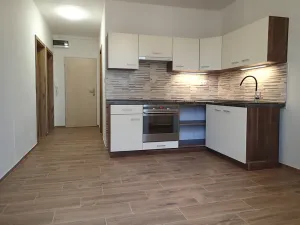 Pronájem bytu 1+1, Hlinsko, Družstevní, 46 m2