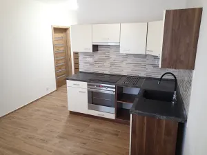 Pronájem bytu 1+1, Hlinsko, Družstevní, 46 m2